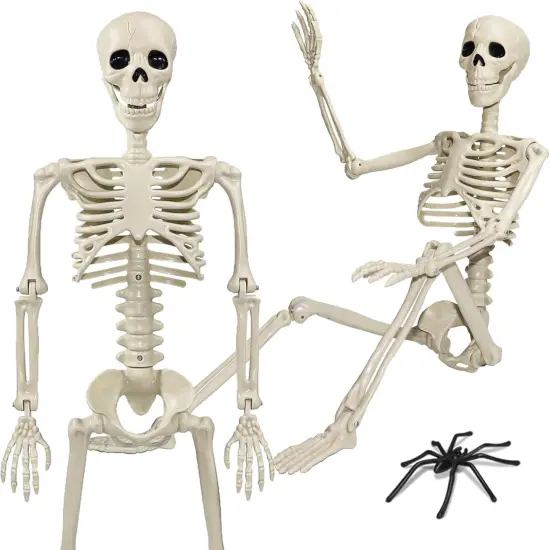 36" Skeleton Halloween Decorations, 3ft Life Size Human Skeleton with 20 Spiders {1}