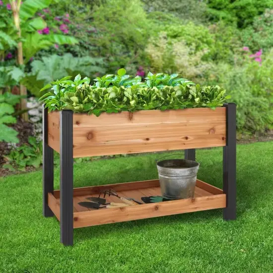 Natural Cedar Raised Garden Bed with Shelf 2x4ft Elevated Planter {4}