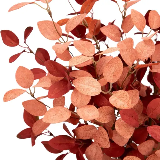 5 Pcs 27" Fall Eucalyptus Stems {5}