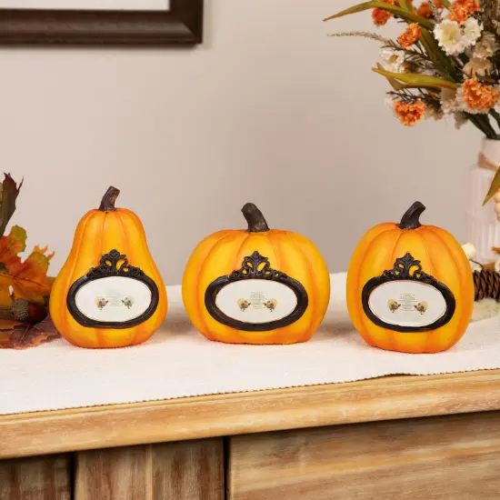 Northlight "Thanks, Today, Tomorrow, Always" Fall Harvest Pumpkin Decorations - 5.5" - Set of 3 Orange {1}