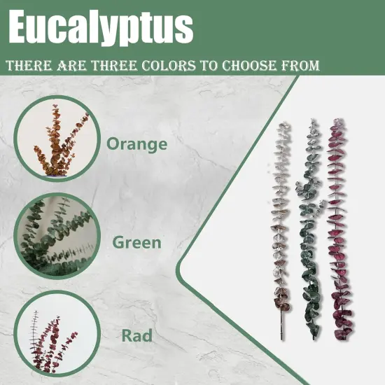 20Pcs 17" Dried Eucalyptus Stems - Orange {4}