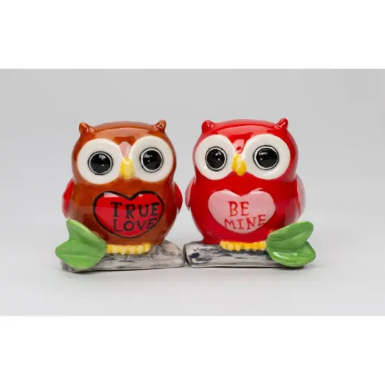 Ceramic Valentine Owl Salt And Pepper Shakers, Home D&eacute;cor, Gift for Her, Gift for Mom, Kitchen D&eacute;cor, Valentine&rsquo;s Day D&eacute;cor, Romantic D&eacute;cor {2}