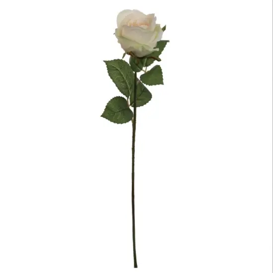 20" Rose Bud Stem - 12 PACK {5}