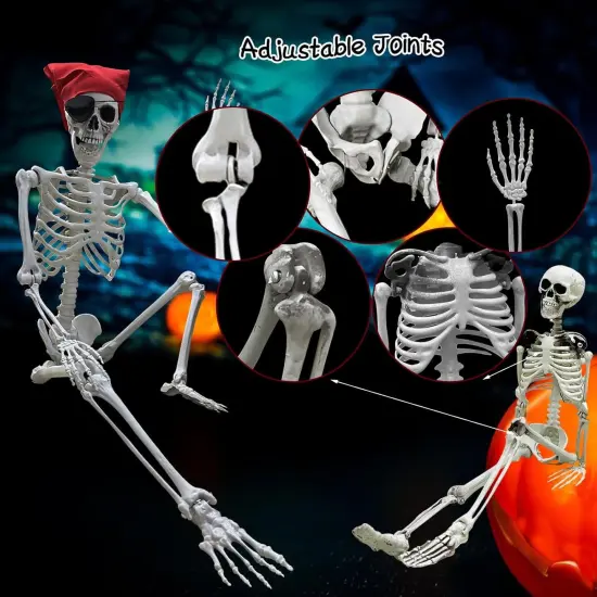 5.4ft/165cm Halloween Skeleton - Life Size Skeleton {4}