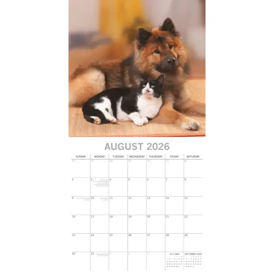 The Gifted Stationary 2026 Square Wall Calendar, Cats & Dogs, 16-Month Animals Theme Hanging Calendar with 180 Reminder Stickers, Month Planner for Home, or Creative Spaces, 12x12 In Multicolor {3}