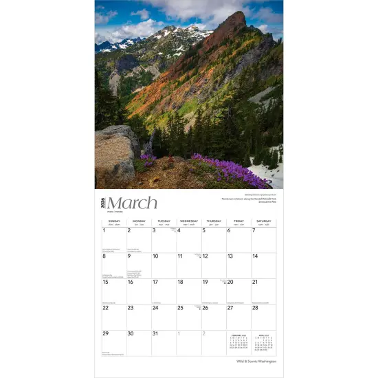 Washington Wild & Scenic | 2026 12 x 24 Inch (Hanging) Monthly Square Wall Calendar | Plastic-Free {3}