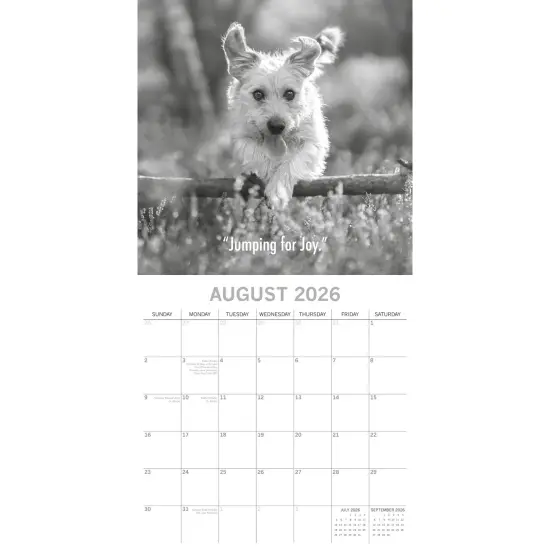 The Gifted Stationary 2026 Square Wall Calendar, Mutts, 16-Month Humor Theme with 180 Reminder Stickers (12 x 12 In) Multicolor {3}