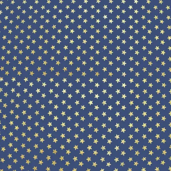 Gold Stars on Navy Foiled Spandex {5}