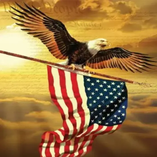 American Eagle Soaring with The American Flag Edible Cake Topper-1/4 {1}