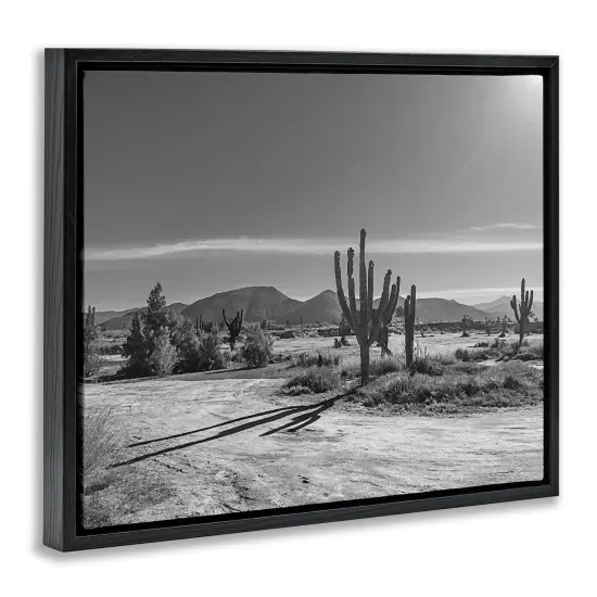 Stupell Industries Sunlit Cactus Valley Floating Frame, design by Norm Stelfox {3}