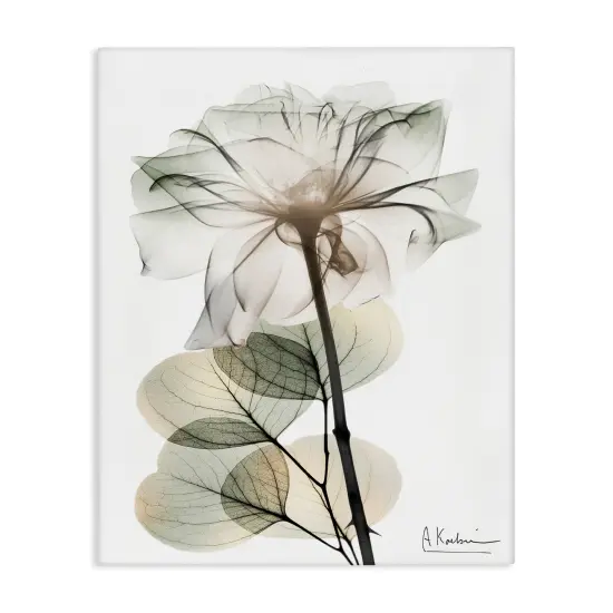 Stupell Industries Modern Minimalist Buds Canvas Design by Albert Koetsier {1}