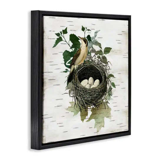 Stupell Industries Vintage Bird Nest & Flora Floating Frame Design by Susan Arnot {3}