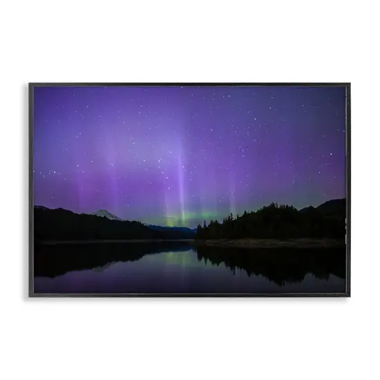 Stupell Industries Luminous Purple Northern Lights Framed Giclee Design by Nancy Crowell {1}