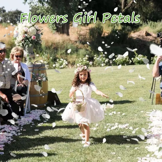 Dried Real White Rose Petals, Freeze Preserved Flower Petals for Wedding Party Decor, Rose Petals for Romantic Night Wedding {5}