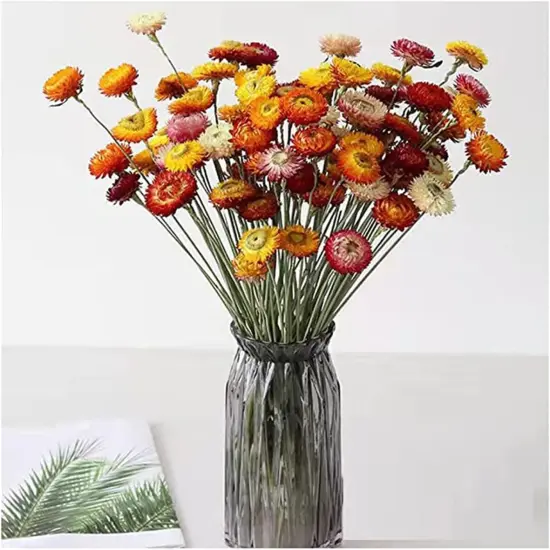 40 Pcs Natural Dried Daisy Flowers with Stems &ndash; Summer Rustic Dried Flower Bouquet for Tabletop Decor, Wedding, Home, Office, Party, DIY Floral Arrangements & Crafts {2}