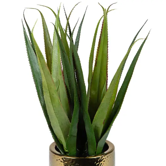 Northlight Artificial Agave Succulent Plant in a Textured Pot - 17" Green {7}