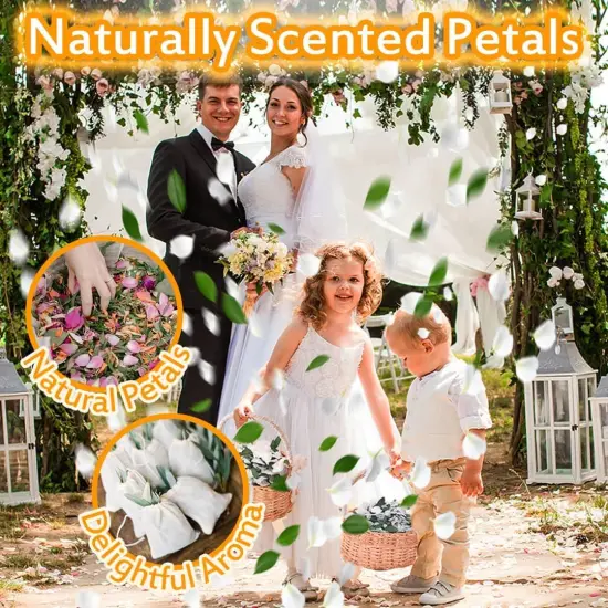 Real Dried Ivory White Hydrangea Flower & Eucalyptus Petals - 3000+ Natural Fragrant Confetti for Wedding, Flower Girl Baskets, Aisle Decor, Scented Sachets, Spring Potpourri Bags, Air Freshener {3}