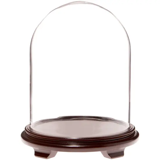 Plymor 11.75" x 15" Glass Display Dome Cloche Walnut Wood Veneer {1}