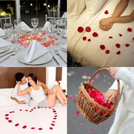 1000 PCS Separated Artificial Champagne Rose Petals for Romantic Night for her Set,Faux Champagne Flower Petals for Flower Girl Weddings {3}