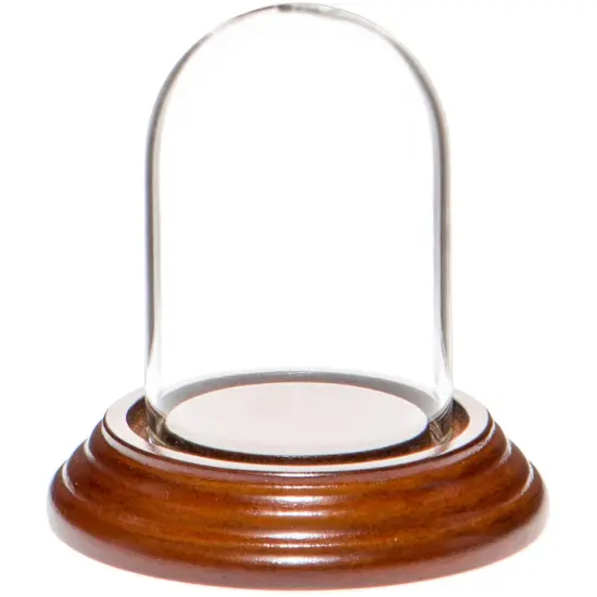Plymor 1.85" x 2.875" Mini Glass Display Dome Cloche Walnut Veneer {1}