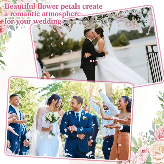 200 Pcs Real Dried Rose Petals for Wedding Flower to Throw {5}