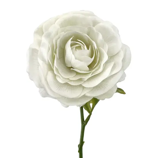 12" Real Feel Willow Crossley Cream Ranunculus Pick {2}