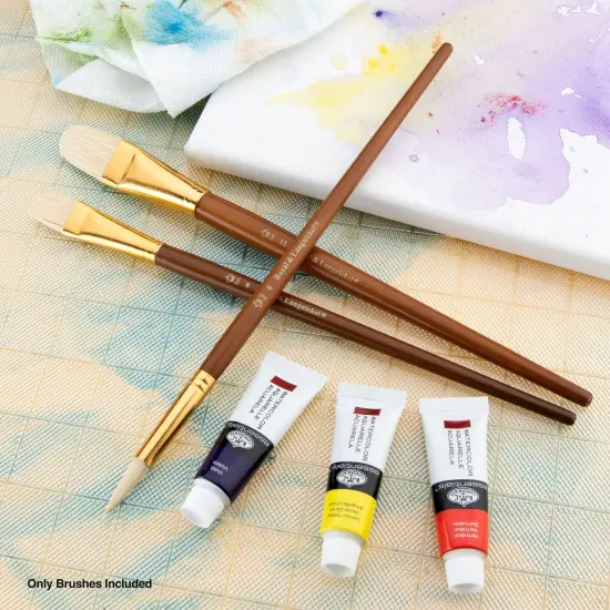 RSET-9169 | 3pc Bristle Long Handle Variety Brush Set {4}