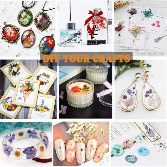 92 Pcs Purple Dried Pressed Flowers Real Natural Leave Petals for DIY Resin Candle Jewelry Nail Crafts {4}