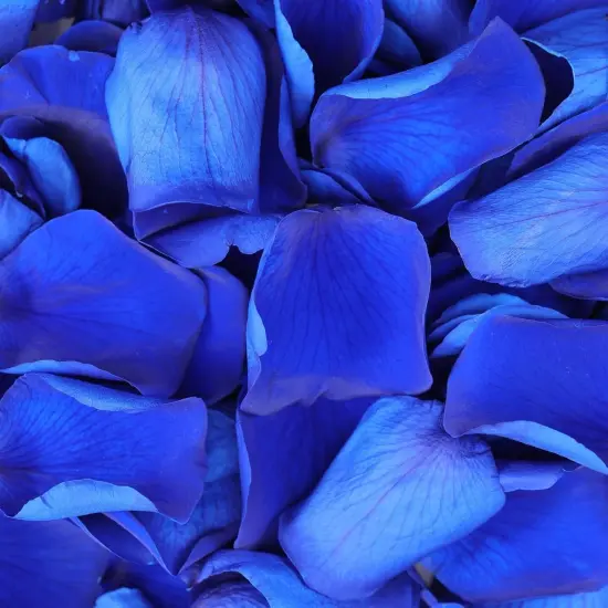 Dried Real Rose Petals, Natural Preserved Dry Flower Petals for Wedding Party Dinner Table Decor, Romantic Night for Her Set {5}