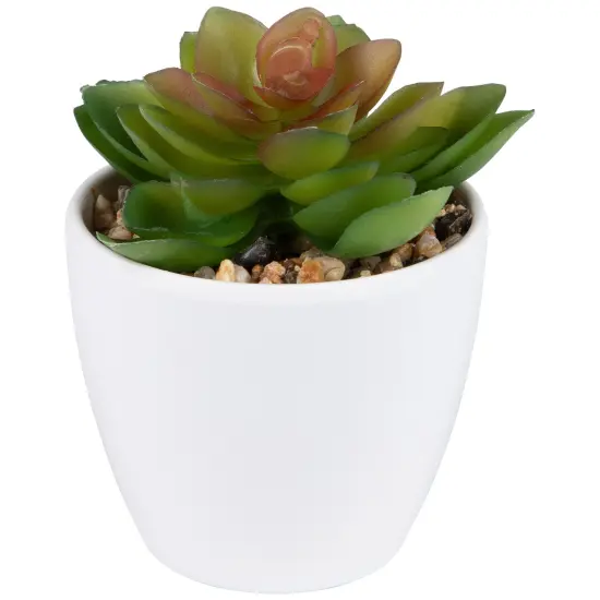 Northlight Mini White Potted Artificial Succulent Plant - 4" {3}