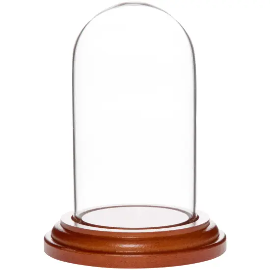 Plymor 1.85" x 3.5" Mini Glass Display Dome Cloche Walnut MDF {1}