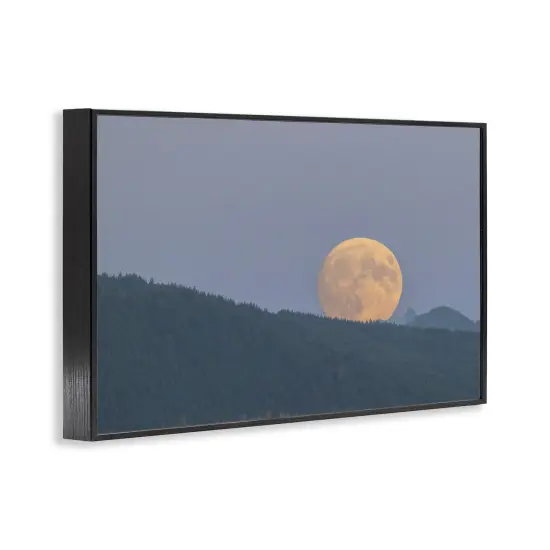 Stupell Industries Majestic Moonrise Landscape Framed Giclee Design by Nancy Crowell {3}