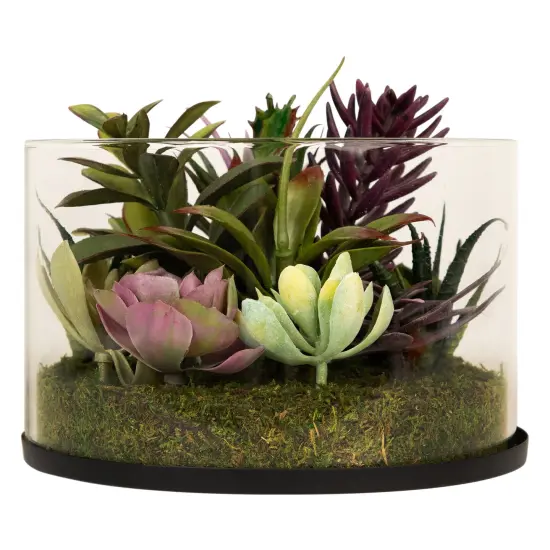 Northlight Mixed Succulent Artificial Arrangement in Round Glass Jar - 8" Green {3}