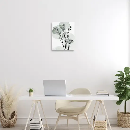 Stupell Industries Fresh Minimalist Herbs Canvas Design by Albert Koetsier {2}