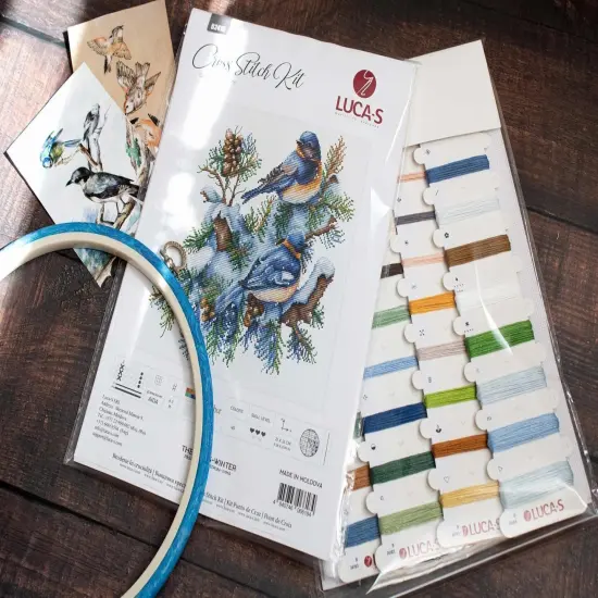 The Birds-Winter B2418L Counted Cross-Stitch Kit {6}