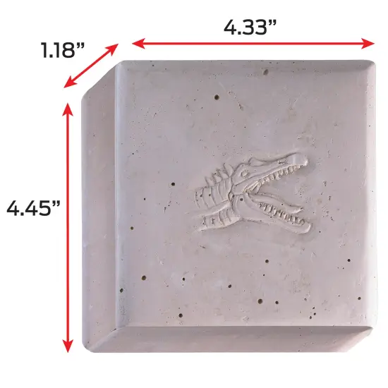 WowWorld: Dino Dig - Spinosaurus - All-In-One Dinosaur Skeleton Excavation Kit, Tools & Construction Figurine, Educational Science Toy, Kids Ages 6+ {6}