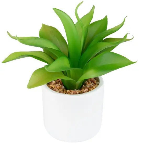 Northlight Artificial Mini Foxtail Agave Plant in a White Pot - 8" Green {3}