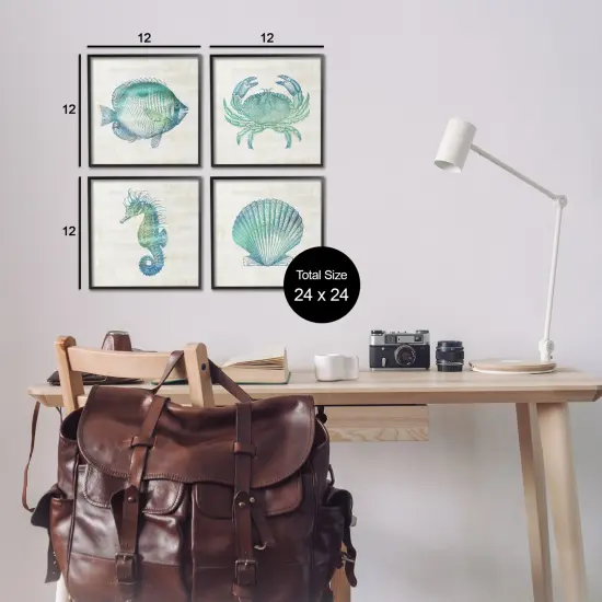 Stupell Industries Aquatic Sea Life Impressions 4pc Framed Giclee Set Design by Susan Arnot {3}