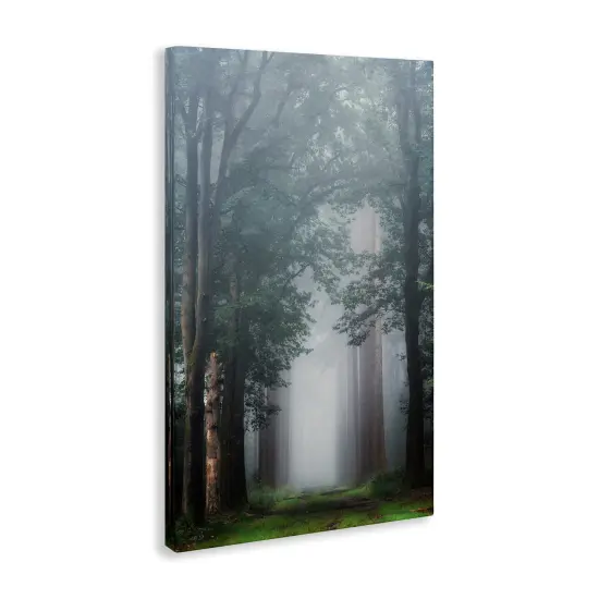 Stupell Industries Calm Forest Clearing Canvas Design by Martin Podt {3}