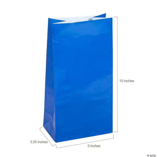 5" x 10" Paper Treat Bags - 12 Pc. Neons assorted {6}