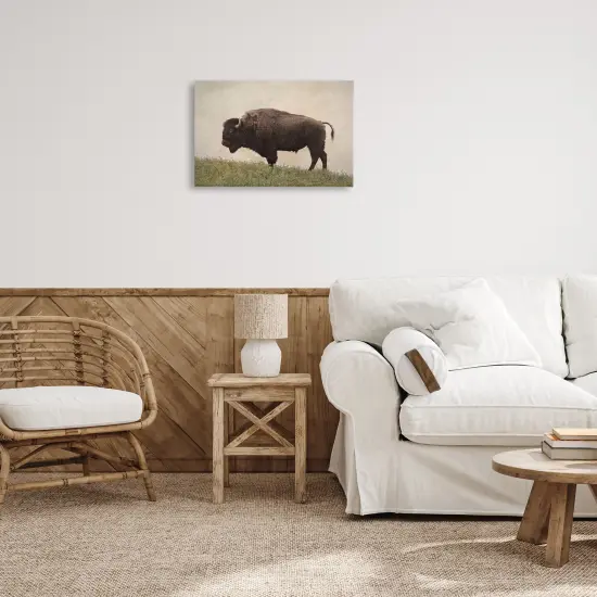 Stupell Industries Serene Buffalo on Country Hill Canvas Design by Steve Toole {2}