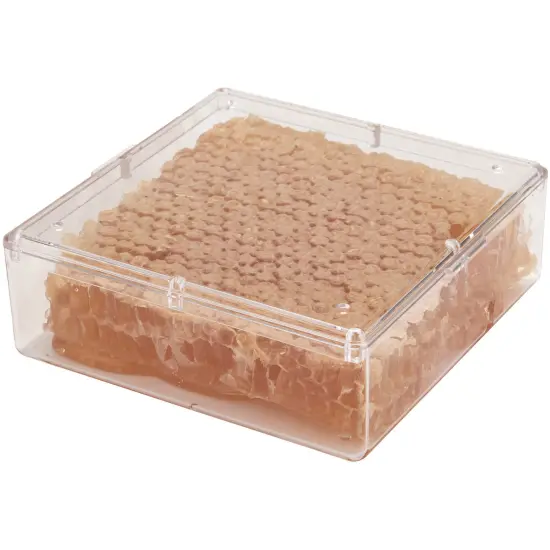 Pioneer Plastics 156C Clear Square Plastic Container, 4.3125" W x 4.3125" D x 1.375" H {2}