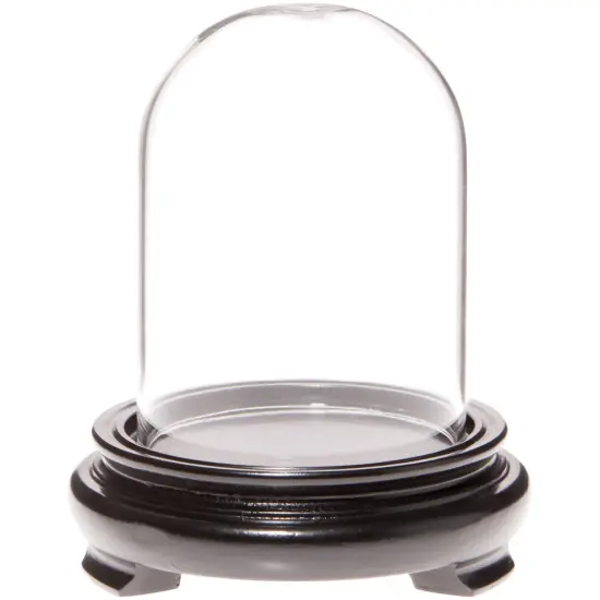 Plymor 2.5" x 3.5" Glass Display Dome Cloche Black Wood Veneer {1}