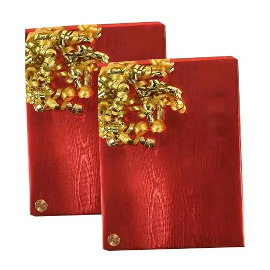 Red Watercolor Embossed Metallic Wrapping Paper 30" x 417" Roll {5}