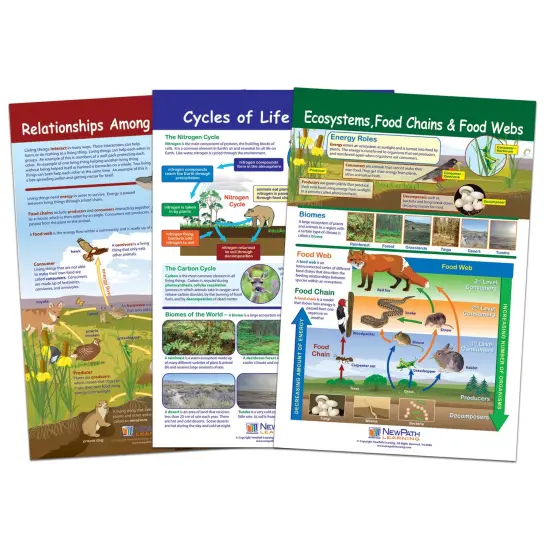 Ecology Bulletin Board Chart Set, Grades 3-5 {1}