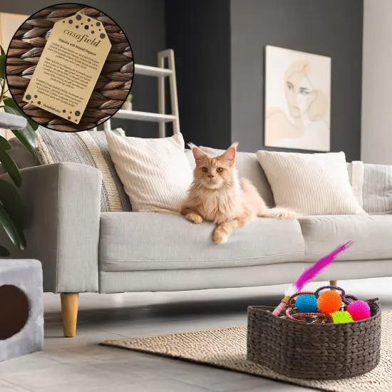 Casafield Cat Shaped Storage Basket, Woven Water Hyacinth Pet Toy Organizer Bin {2}