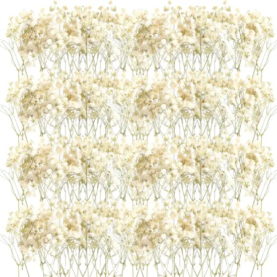 50 Pcs Mini Dried Baby Breath Flowers Wedding Ivory Natural Flowers Bulk Dried Gypsophila for Vase Brides Shower Invitation Card DIY Candle Making Decor Craft Party Resin Art, 2-4 in {1}