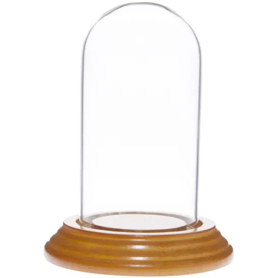 Plymor 2" x 4" Mini Glass Display Dome Cloche Oak Veneer {1}