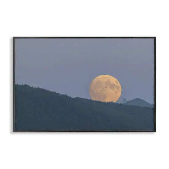 Stupell Industries Majestic Moonrise Landscape Framed Giclee Design by Nancy Crowell {1}