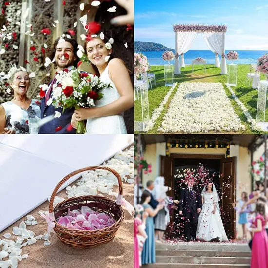 Decor 3000 Pcs Rose Petals Artificial Flowers for Valentine's Wedding Decor Romantic Night Bridal Party Home Decorations {5}